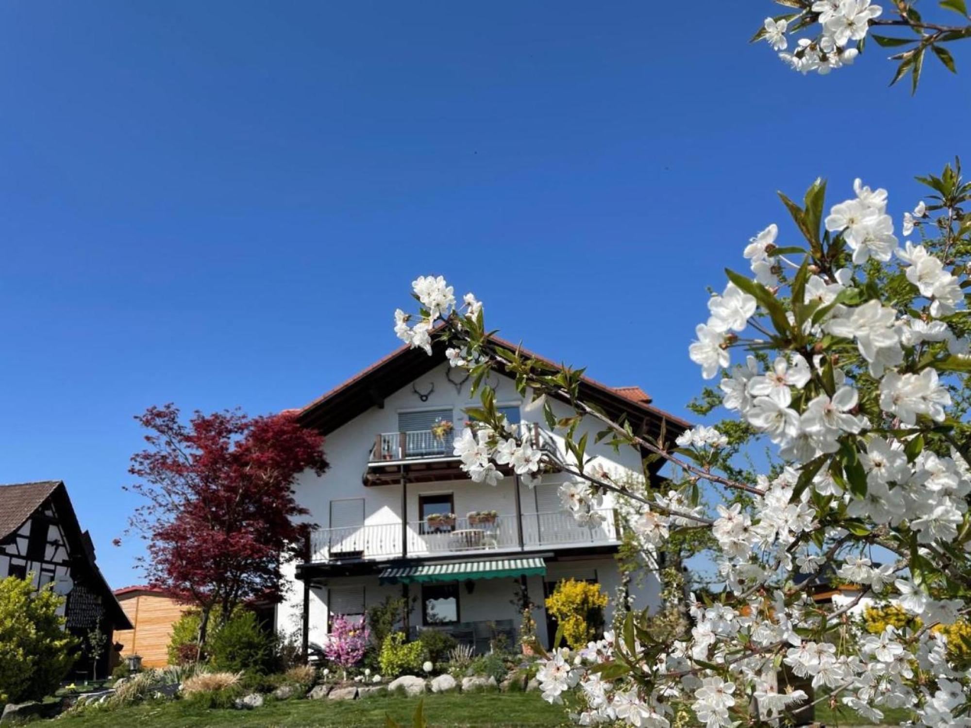 Bergchalet Mirabell - Hofgut FDH Екстериор снимка