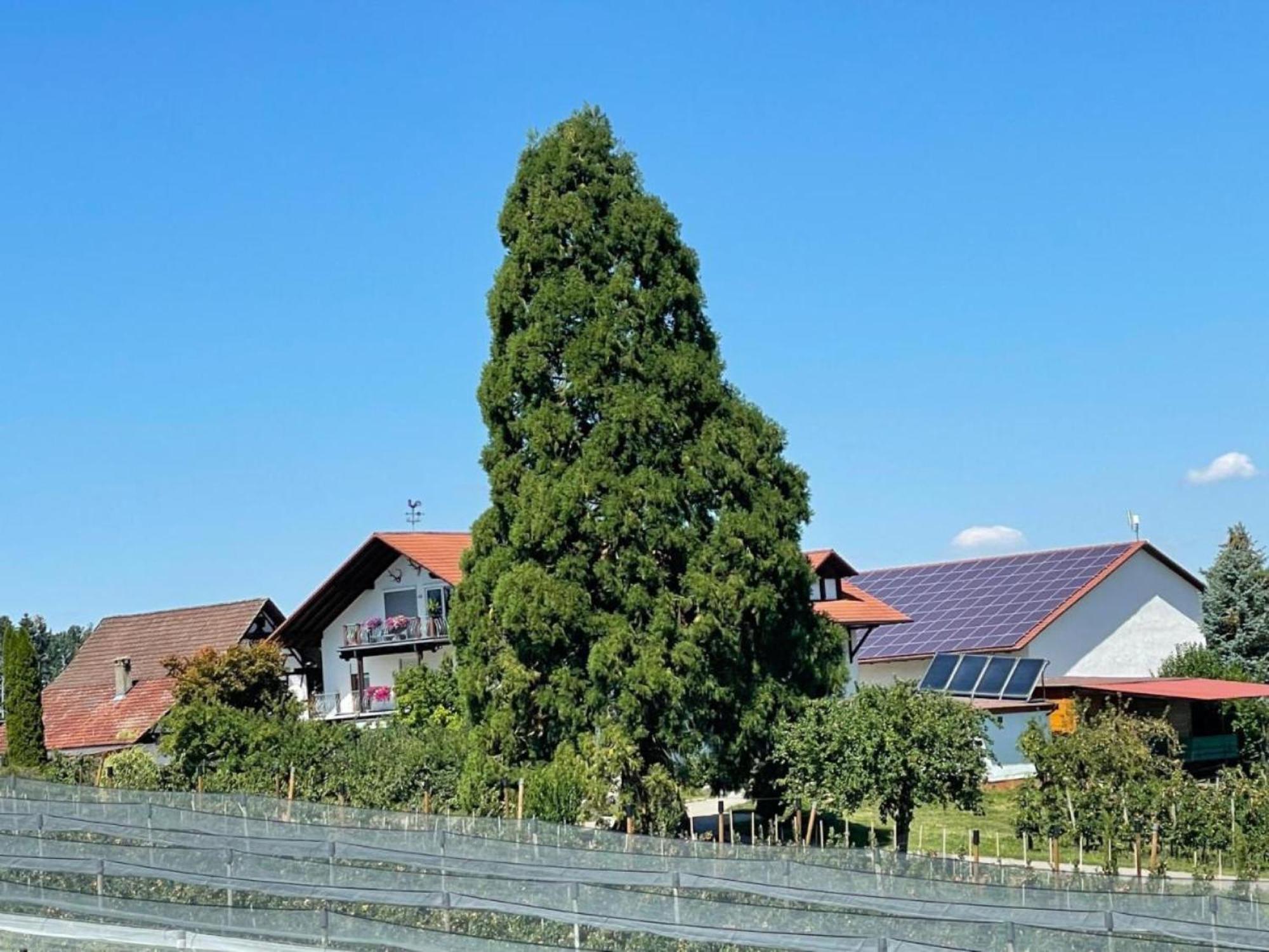 Bergchalet Mirabell - Hofgut FDH Екстериор снимка