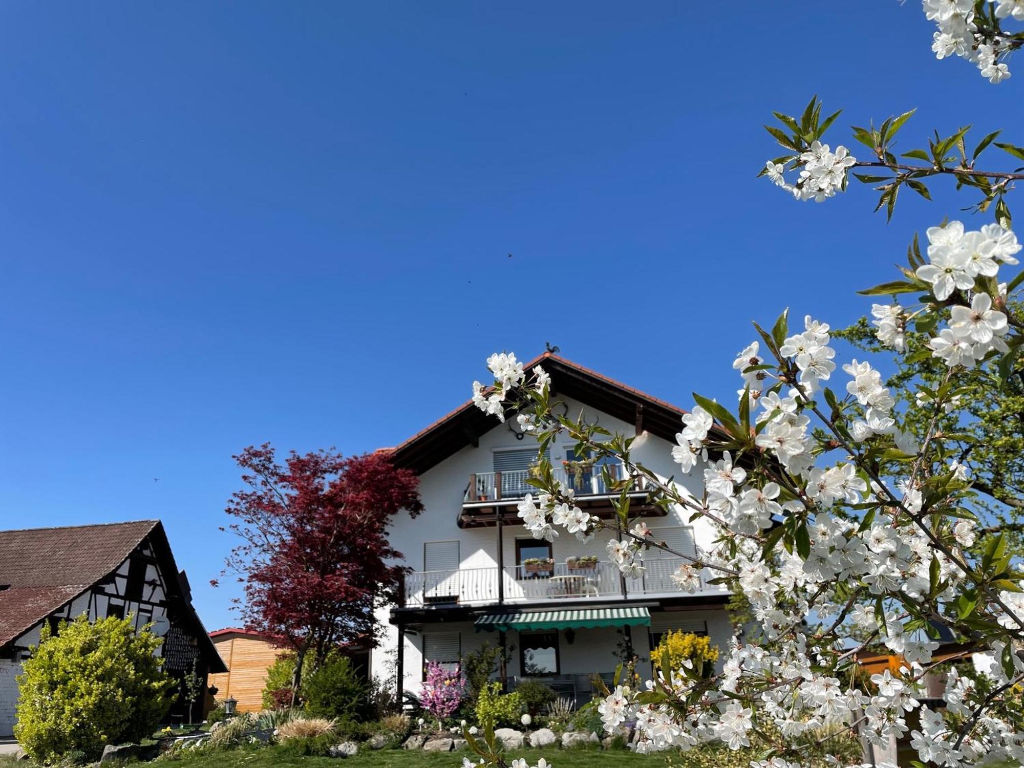 Bergchalet Mirabell - Hofgut FDH Екстериор снимка