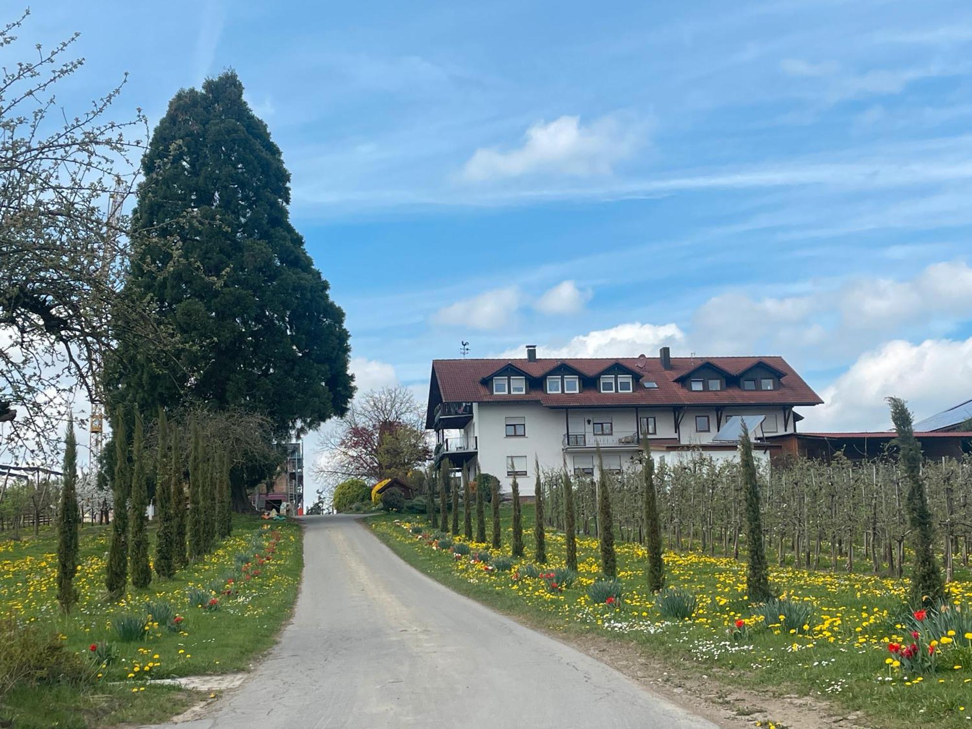 Bergchalet Mirabell - Hofgut FDH Екстериор снимка